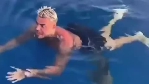 be careful with the shark, or he has to be careful hahaha
