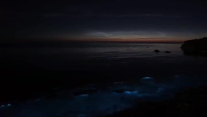 Sea of Stars. Navarre Beach, Florida