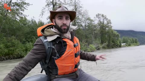 Bald Eagle Adventure