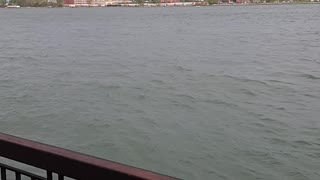 Here fishy fishy