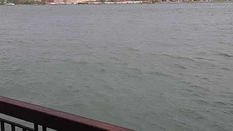Here fishy fishy