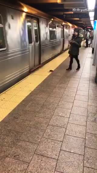 Rat walking in subway platform woman scared