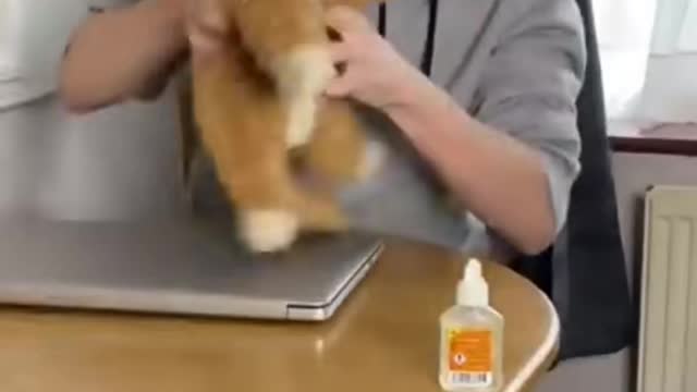 🤣🤣🤣