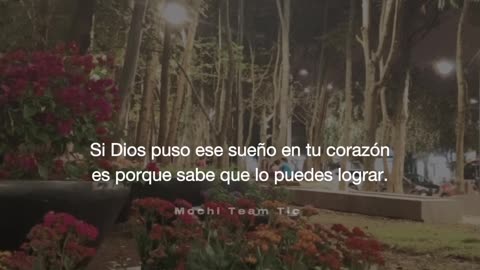 Frases motivación 🤍☘️🫂