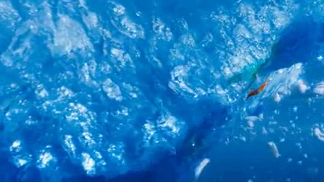 ocean