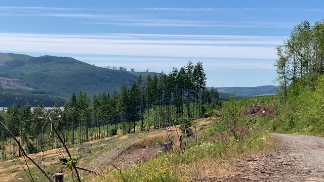 Toutle River Valley, Washington, near Mount St. Helens