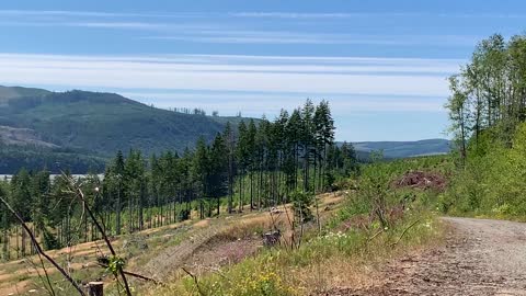Toutle River Valley, Washington, near Mount St. Helens