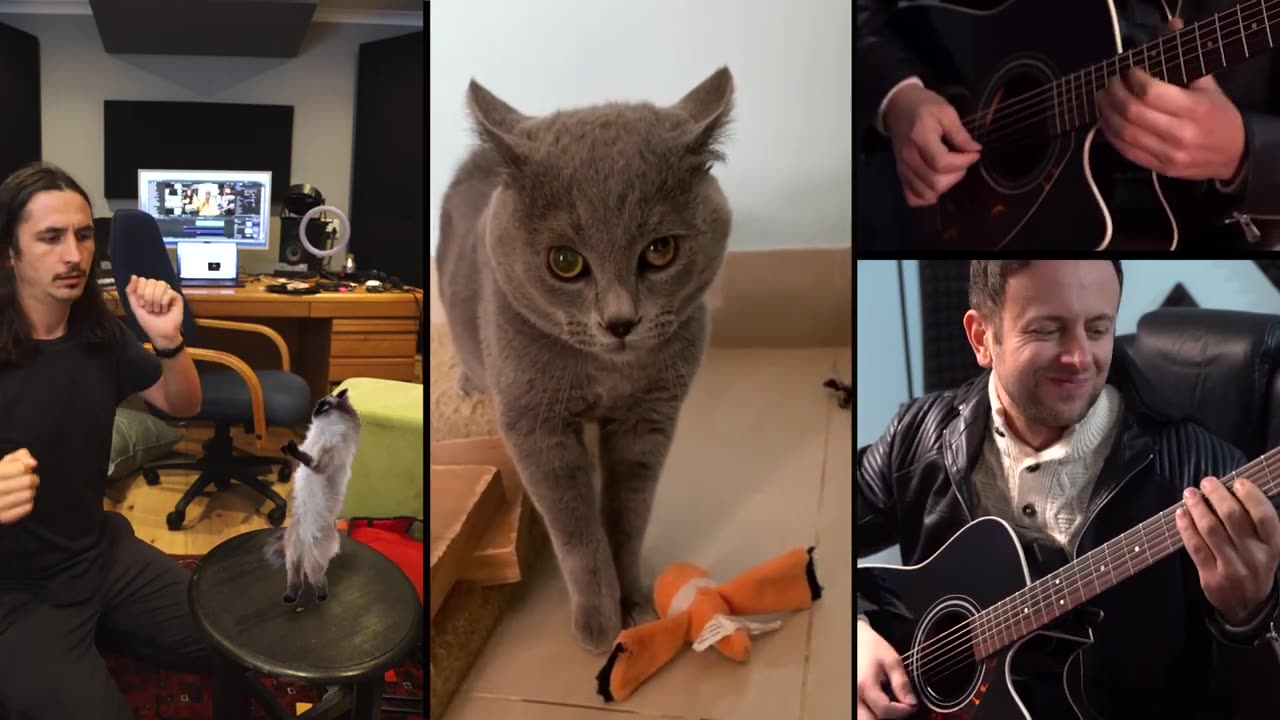THE KIFFNESS X ALUGALUG CAT 2.0 PLEASE GO AWAY FT.SPAUL