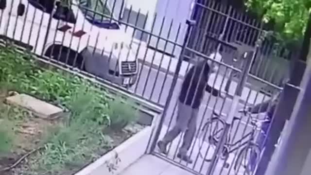 Elderly man in France attacked by immigrants