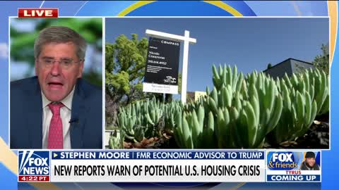 Former Trump adviser Stephen Moore issues green energy warning, says US should look to Europe as an example