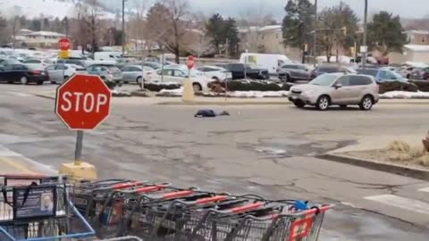 Colorado Shooting