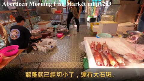 香港仔海濱公園天光墟魚市場 Aberdeen Morning Fish Market 02, mhp1289, Apr 2021