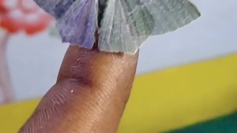 Butterfly with attractive colour...