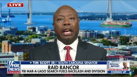 Tim Scott: There is an 'infrequent, inconsistent' application of the rule of law