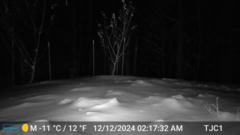Snow and Wind