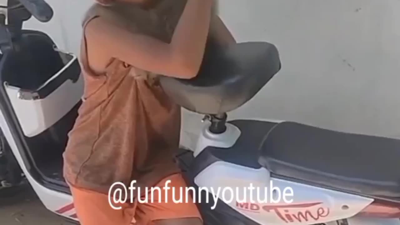 Funny Animal Videos Of The Day 0030! 😂😂 #fyp #memes #memedaily #dankmemes
