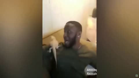 Funny fails 2022😂😂