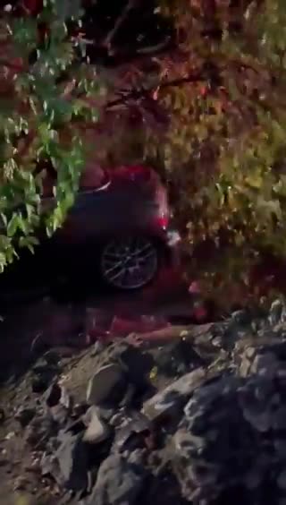 Carro é atingido por árvore no Bom Fim, em Porto Alegre