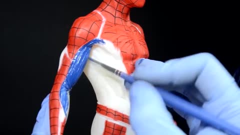 Color Spider-Man's Arm.