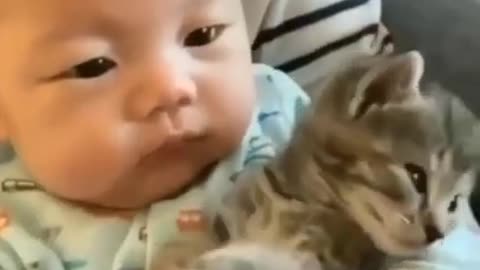 Animals love is so cute with babies