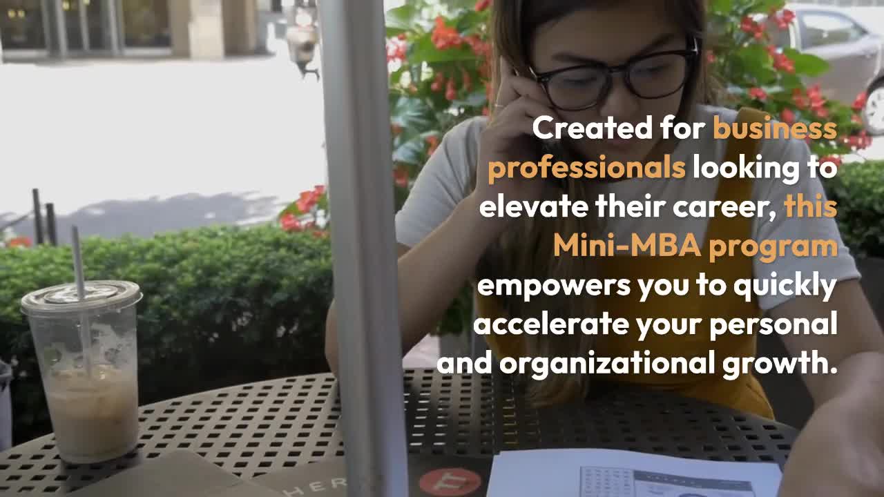 Executive Mini MBA online