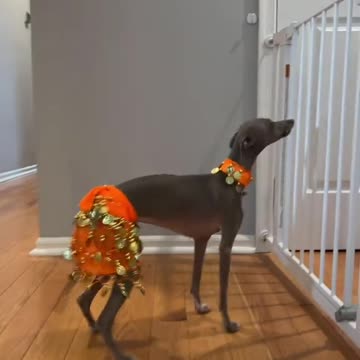 Shakira has let herself go if you asked me 🤣🤣