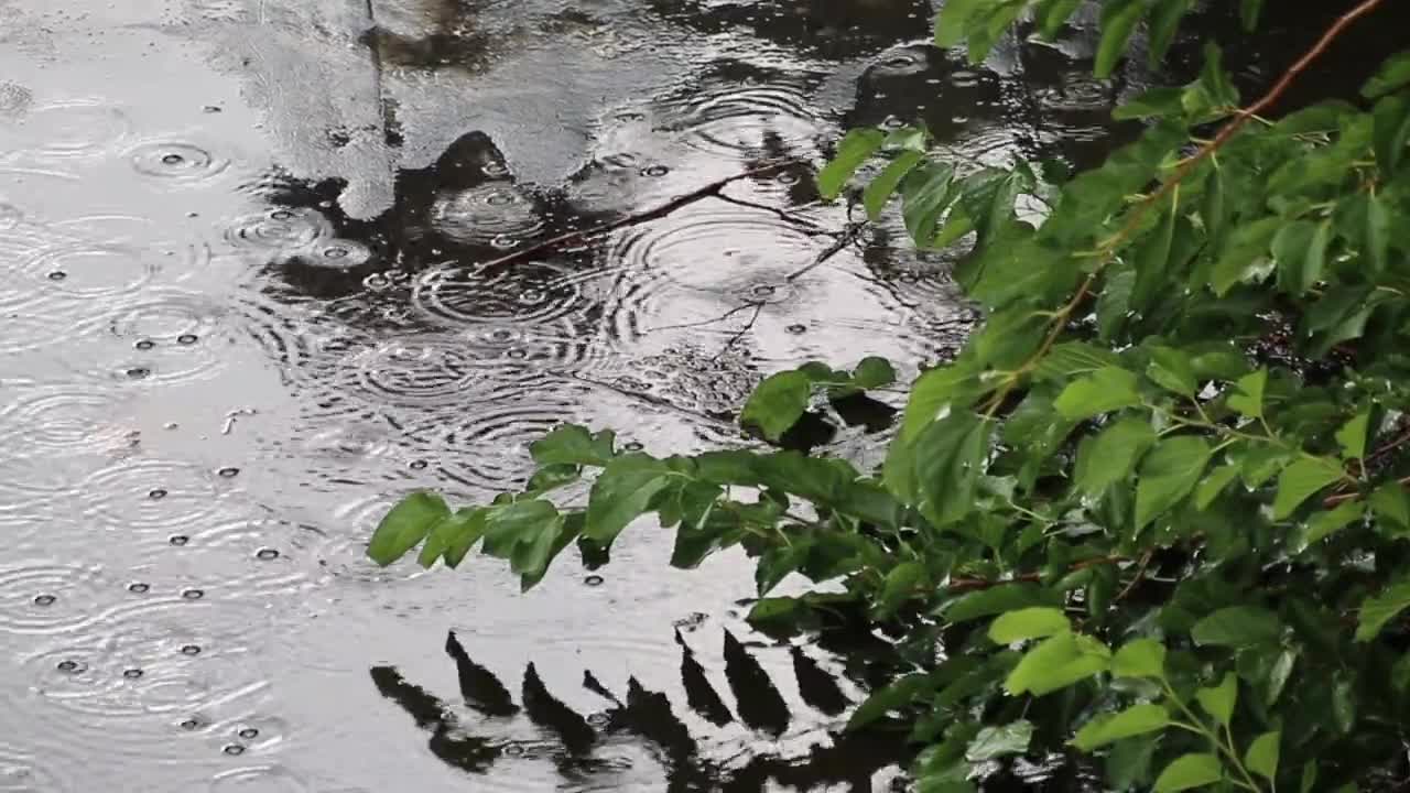 Raindrops Pouring || Rainfall Slow Motion