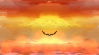 Dawn of freedom