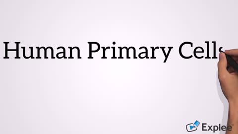 Human Primary Cells