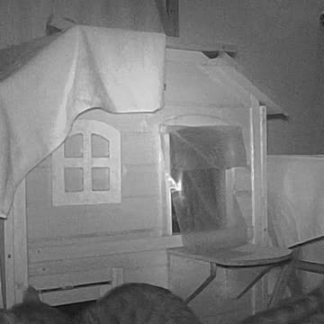 EA S99 - I Name this Cathouse Mine