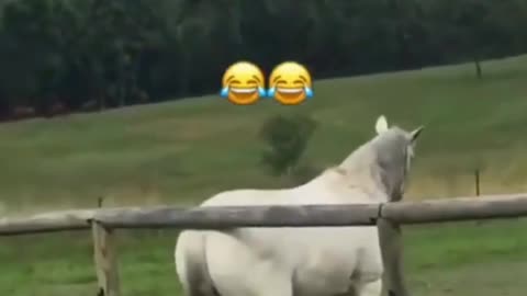 how can i