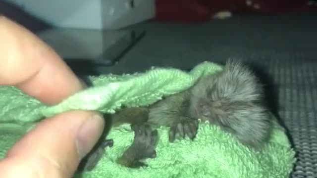 SLEEPING TIME !