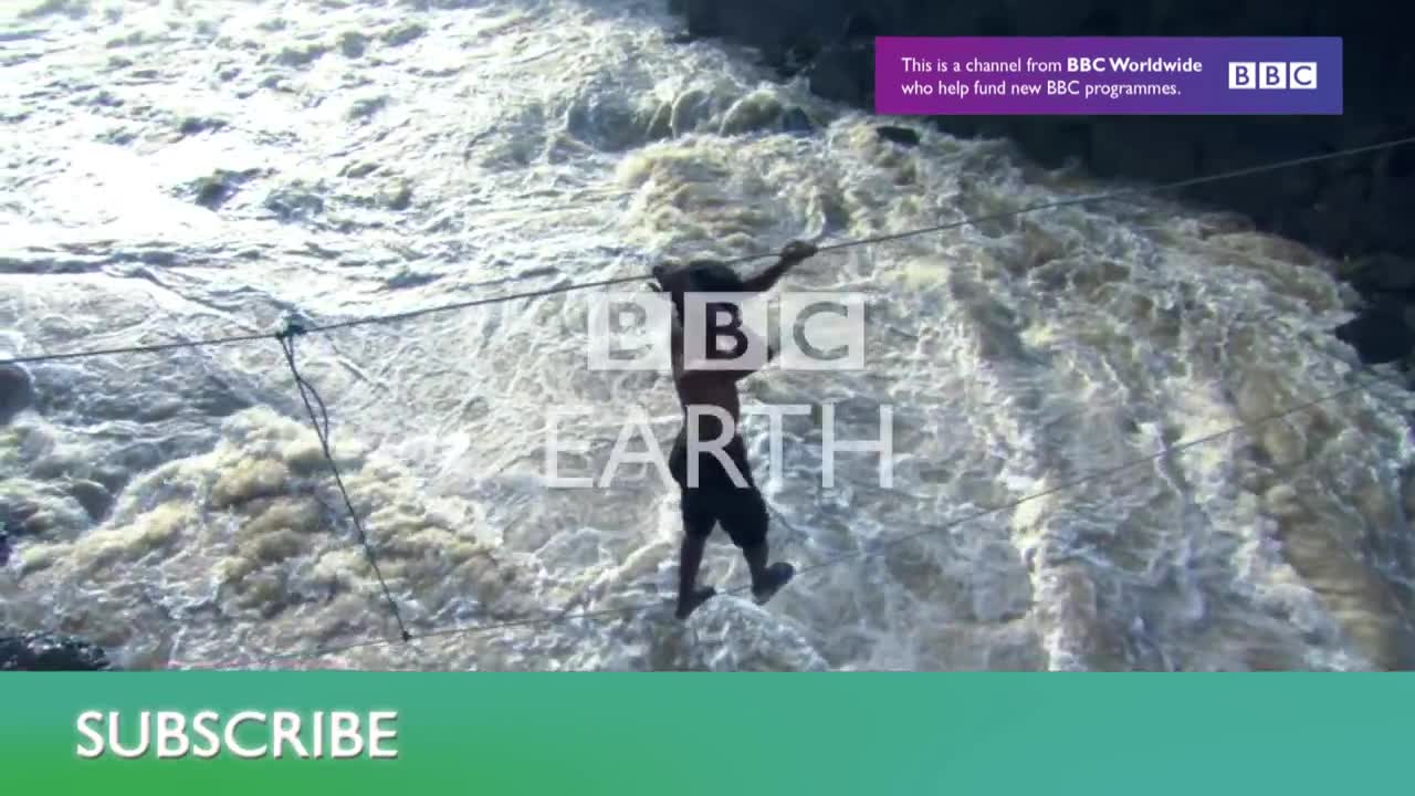 Troglobites: Strange Cave Specialists | Planet Earth | BBC Earth