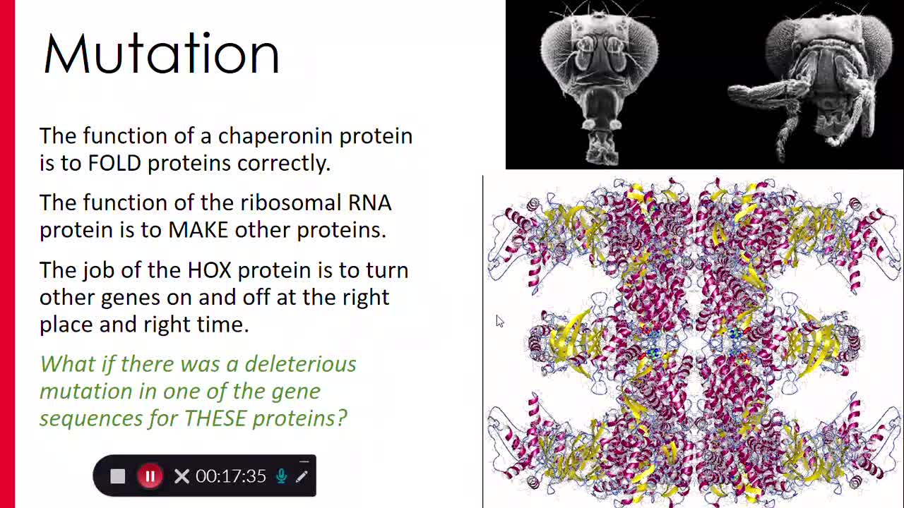 Evolution: Central Dogma and Natural Selection