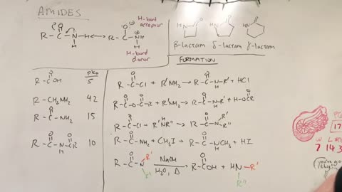 Amide properties and reactions