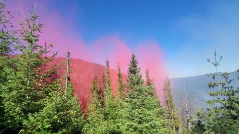 SEATs boxing in a fire with retardant