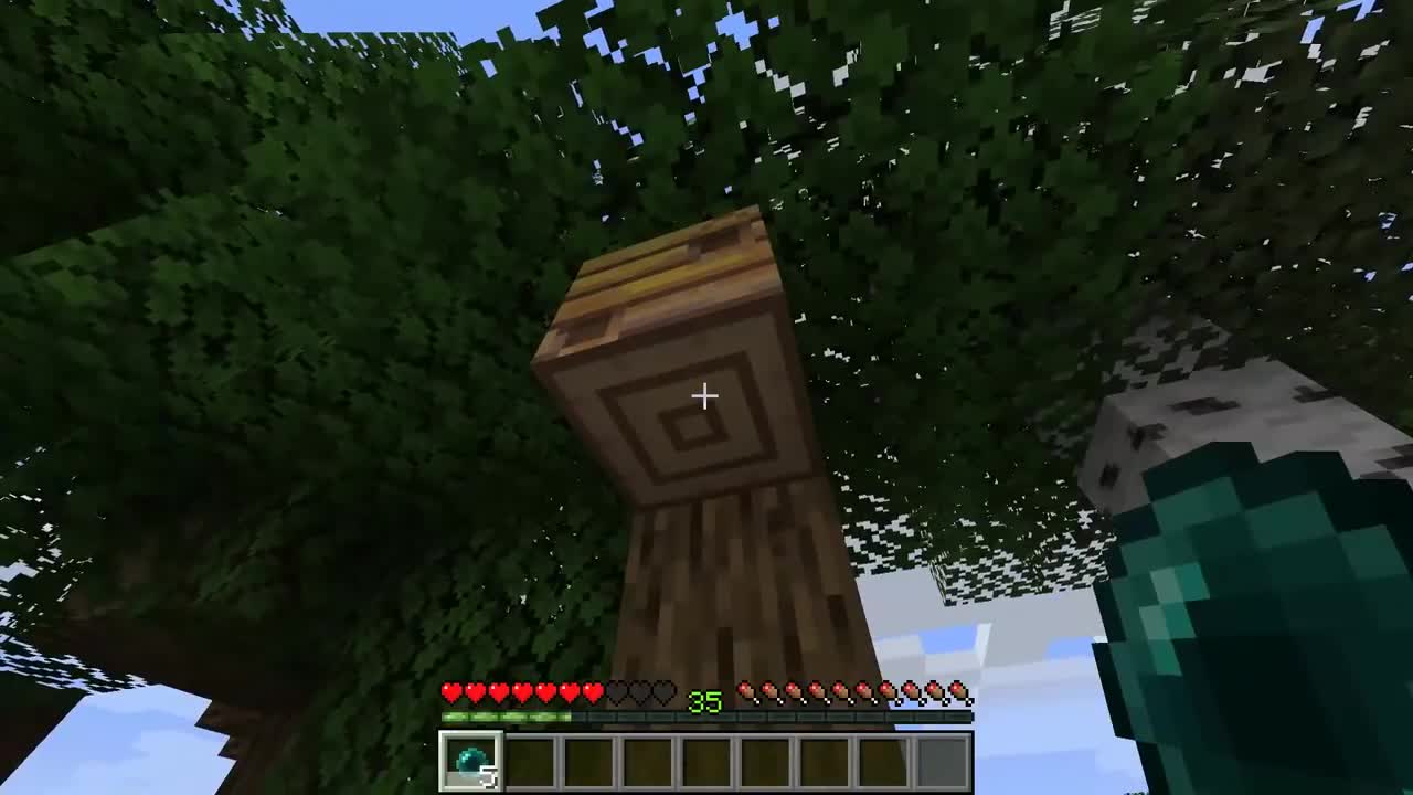 What's inside the minecraft hive?