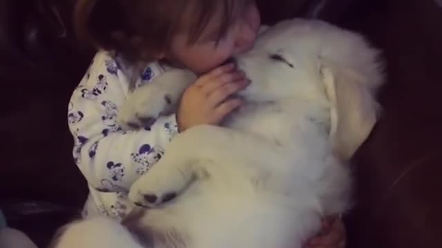 baby are sleeping with dogs