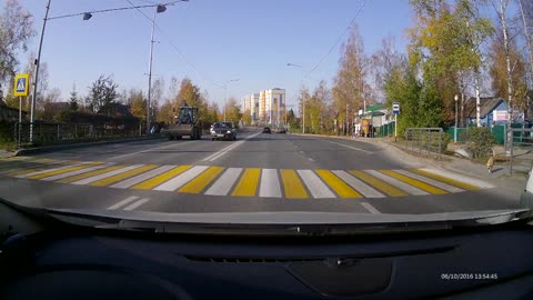 Safety First Dog Uses Crosswalk