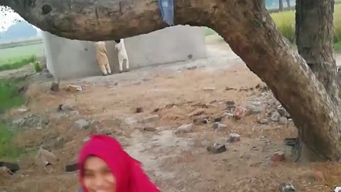 Village old punjabi culture with little girl kids | Must watch this video