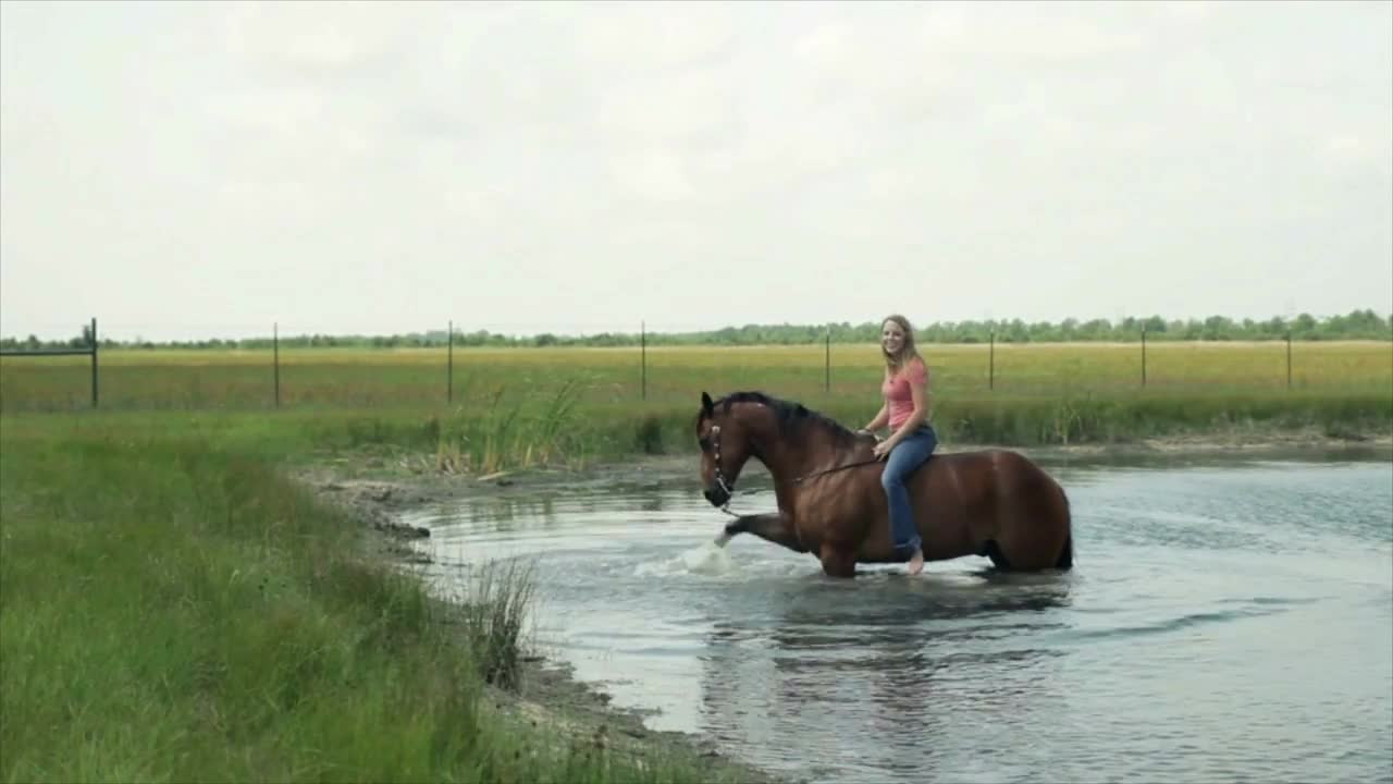 horse playing in the pond