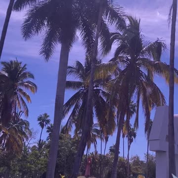 Drive to Mexico airport