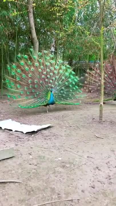 the perfection of God's nature ...amazing magnificent ...god bless you and me too