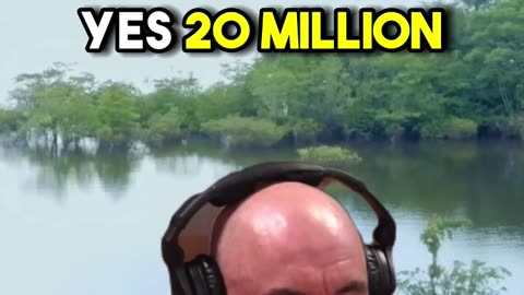 Amazon Jungle