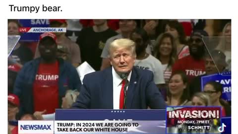 Those Trump T’s!!😍