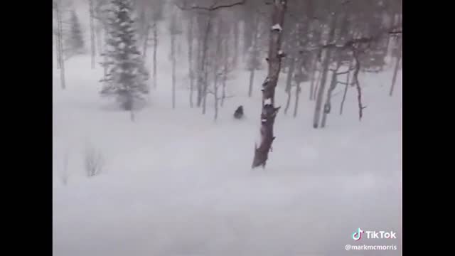 The Best Tik Tok Snowboarding Compilation Feb 2020