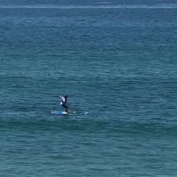 Guy tries to stand on a surfboard and he falls off