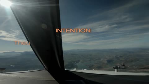 Intelligence