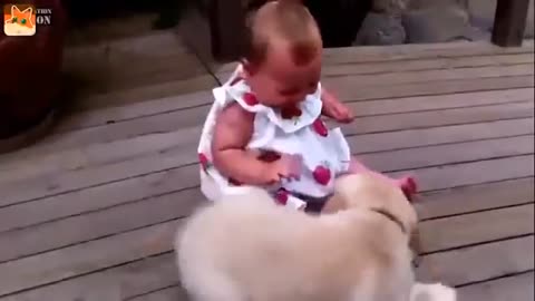Crazy dog is WAY too happy to see owner!