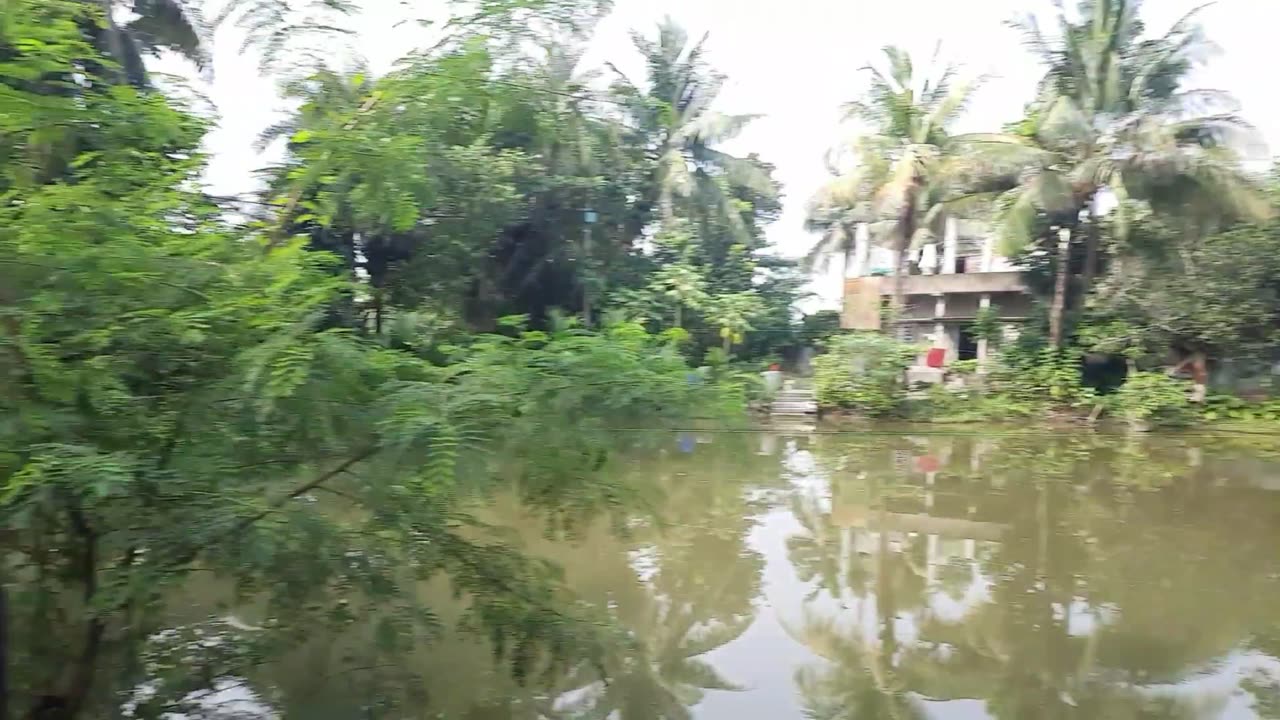 My House Area in Short Look || Bengal Village People Vlog ||